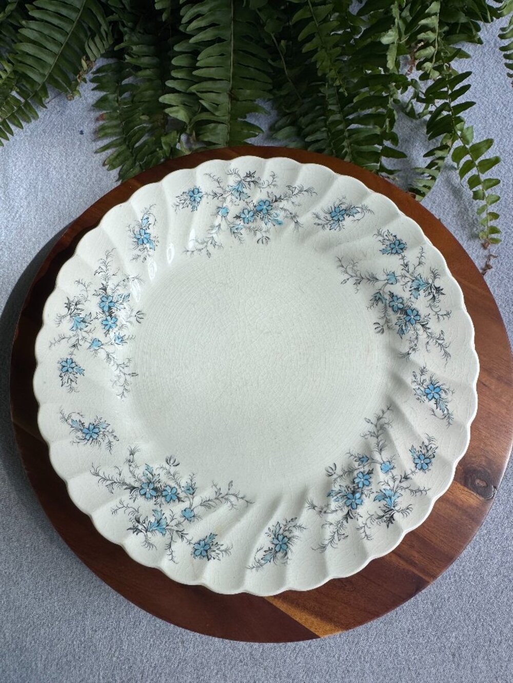 Vintage Myott Staffordshire "Forget Me Not" Dinner Plate - Blue Floral